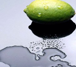 mousse aux citrons verts